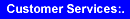 Customer Services